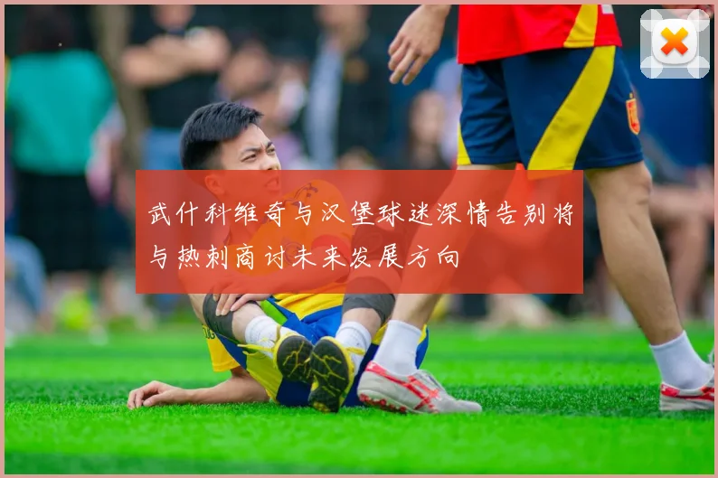 武什科维奇与汉堡球迷深情告别将与热刺商讨未来发展方向