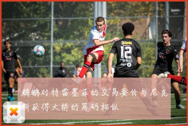 鹈鹕对特雷墨菲的交易要价与尼克斯获得大桥的筹码相似